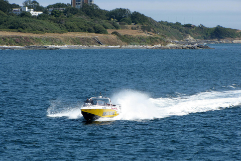 Kusadasi Speedboat Experience 60 Minutes Speedboat Experience