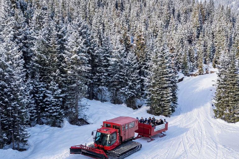 Whistler: Holiday Sleigh Ride