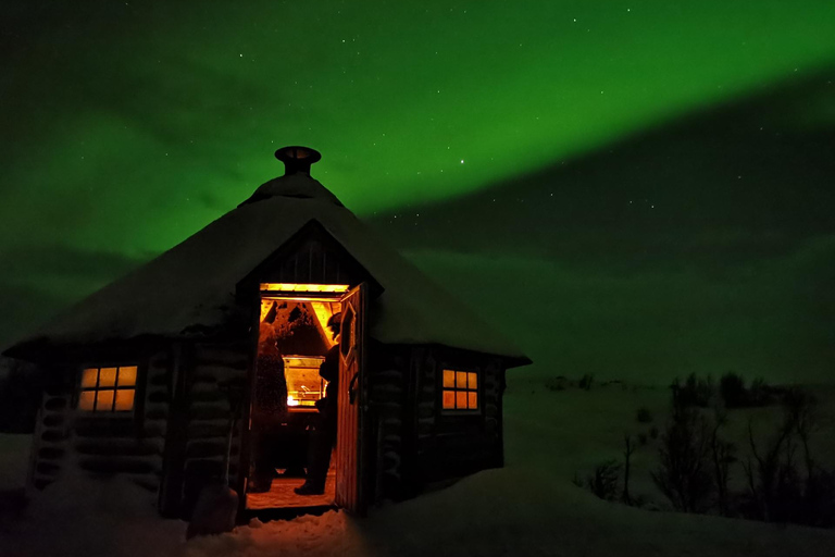 Björkliden/Abisko: tour in motoslitta nel cielo notturno