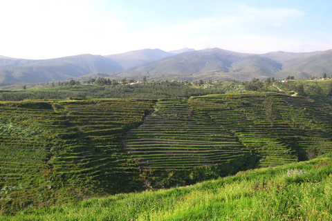 Arequipa: Halbtägige Wanderung durch die Landschaft mit Guide