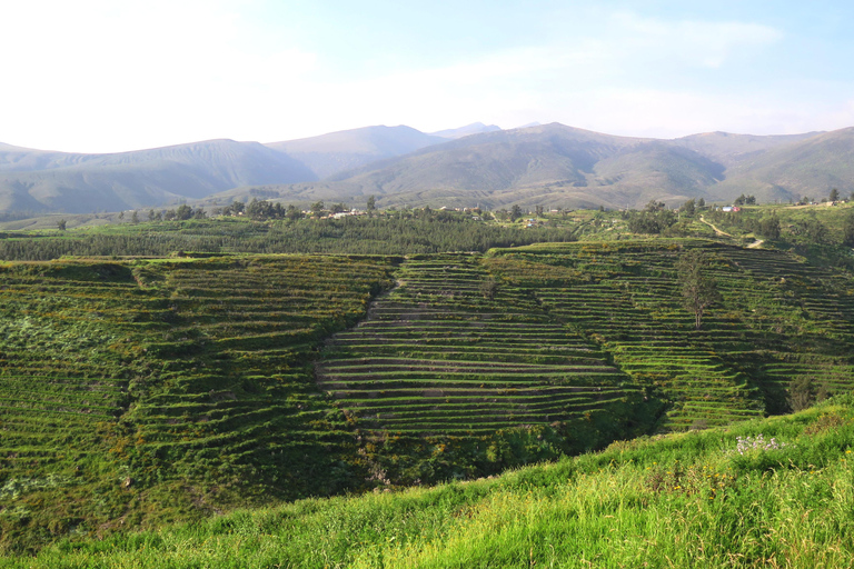 Arequipa: Halbtägige Wanderung durch die Landschaft mit Guide