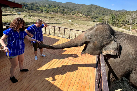 Chiang Mai : Visite de deux jours du sanctuaire du Temple des éléphants