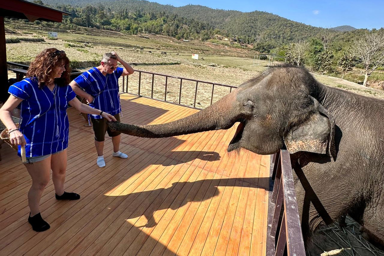 Chiang Mai : Visite de deux jours du sanctuaire du Temple des éléphants