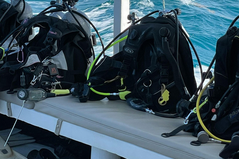 Antalya: Waterfall Diving & Snorkeling with Lunch & Transfer