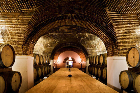Évora: Prova de vinhos e visita cultural