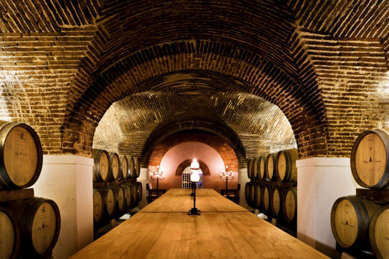 Évora: Prova de vinhos e visita cultural