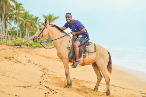 Punta Cana: Paardrijden bij zonsondergang aan het strand met ophaalservice vanaf je hotelWe kunnen altijd coördineren als we beschikbaar zijn.