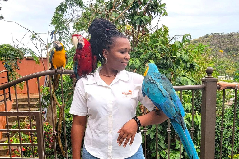 Trinidad: Macaw Bird Sanctuary, Lookout & Savannah Tour