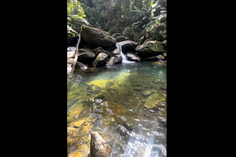 NanichiConcierge: El Yunque hiking (Contact first) NanichiConcierge: Tour with beautiful views and hiking.