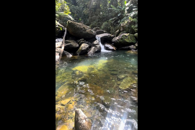 NanichiConcierge: El Yunque hiking (Contact first) NanichiConcierge: Tour with beautiful views and hiking.