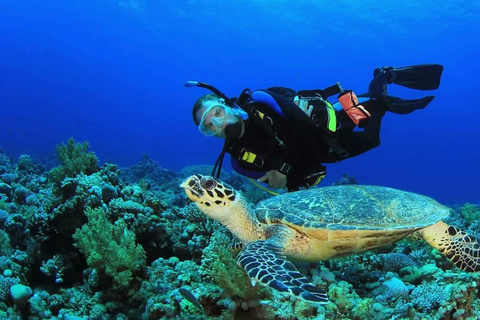 From Antalya: Scuba Diving With Lunch and Transfer