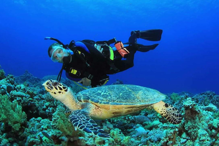 From Antalya: Scuba Diving With Lunch and Transfer
