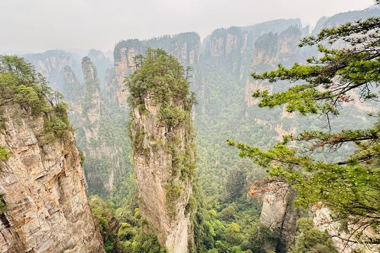Zhangjiajie: National Forest Park 1-Day VIP Private Tour