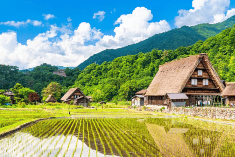 Shirakawago &Hida & Takayama SnowWall 2Days Tour from Nagoya