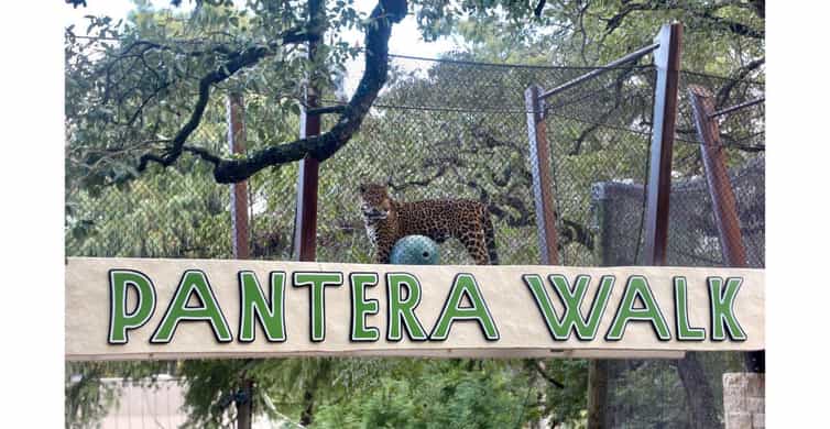 San Antonio Zoo Any Day Ticket photo 4