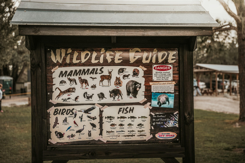 Single-seat ATV Adventure - 1 Hour Single-seat ATV Quad Bike Adventure - 1 hour