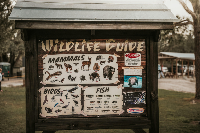 Single-seat ATV Adventure - 1 Hour Single-seat ATV Quad Bike Adventure - 1 hour