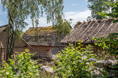 Birka: Viking City – Boat Trip from Stockholm City Hall