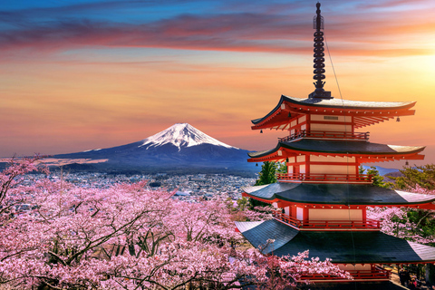 Tokyo: Mt Fuji Full-Day Private Tour of Top Best Places