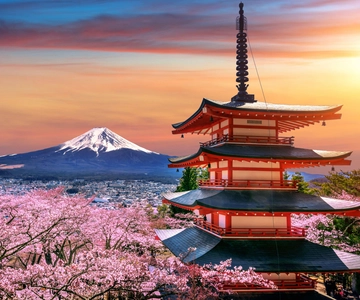 Tokyo: Mount Fuji Private Customizable Day Trip with Driver