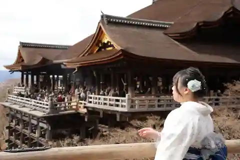 Kyoto: Celodenní prohlídka autobusem s průvodcem po nejvýznamnějších památkách a vstupenky