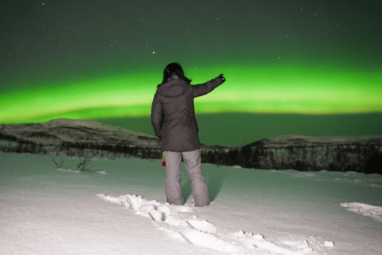 From Tromsø: Aurora Bus Tour with Snacks, Photos, and Drinks 4-Hour Tour