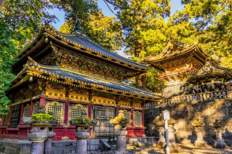 Tokyo: City One Day Private Luxury Top Places Tour