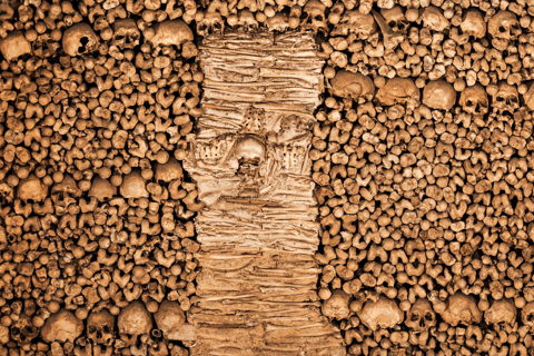 From Lisbon: Évora + Chapel of Bones + Monsaraz + Alentejo Wines Évora Tour + MONSARAZ + Wine Tasting