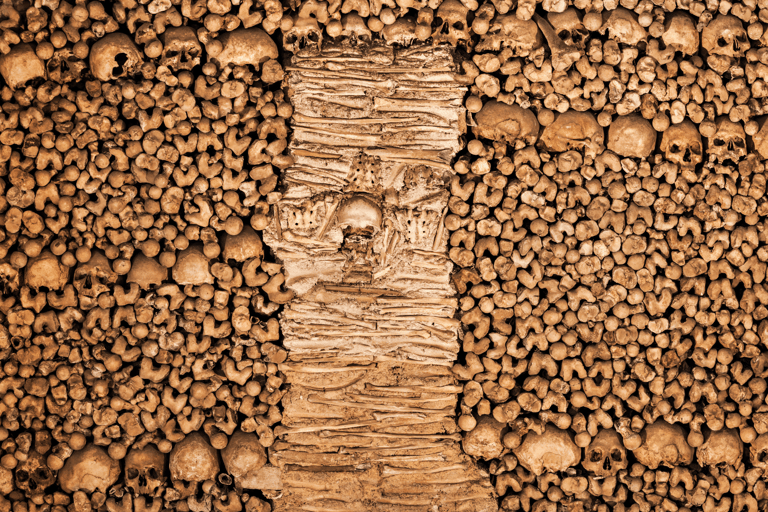 From Lisbon: Évora + Chapel of Bones + Monsaraz + Alentejo Wines Évora Tour + MONSARAZ + Wine Tasting