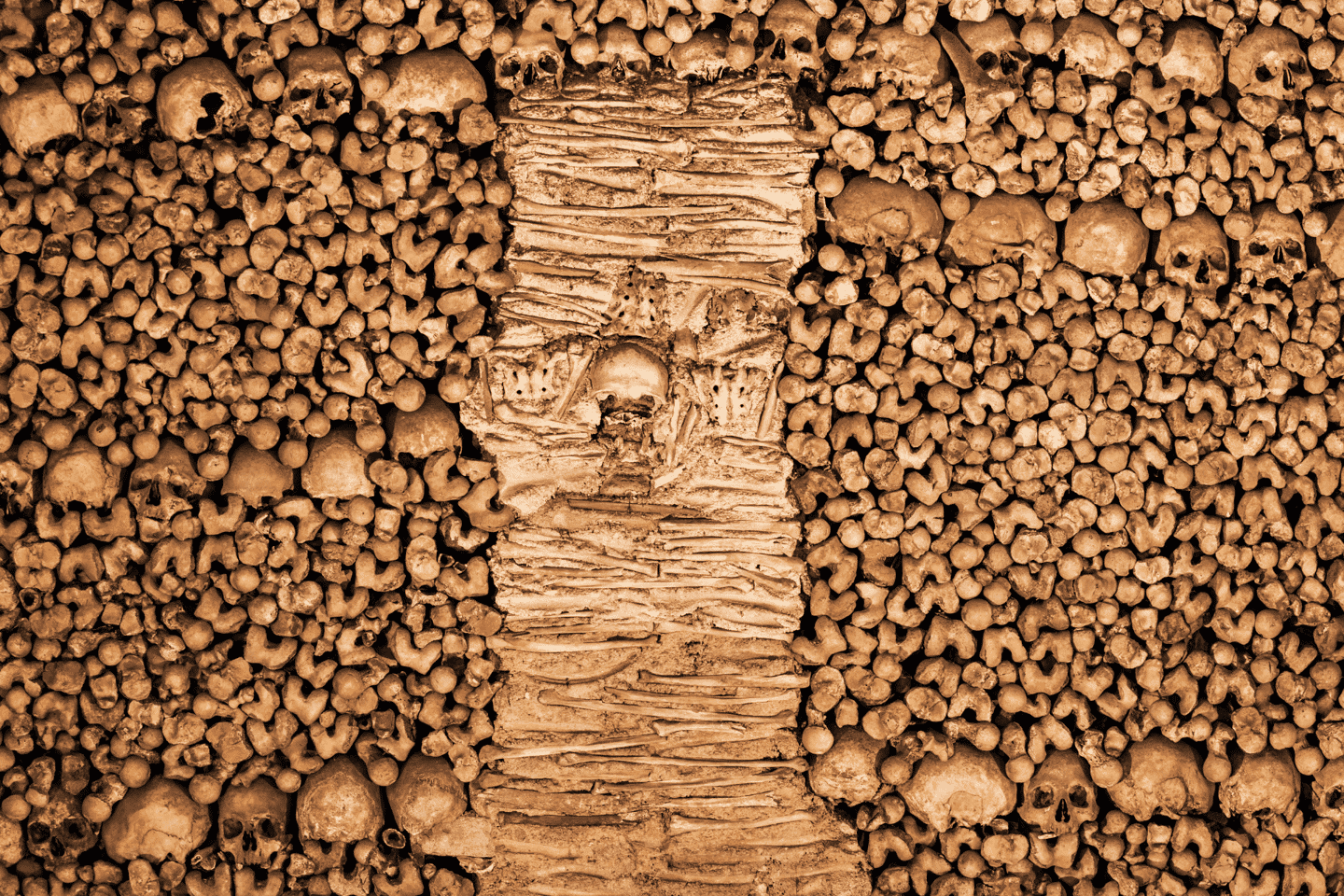 From Lisbon: Évora + Chapel of Bones + Monsaraz + Alentejo Wines