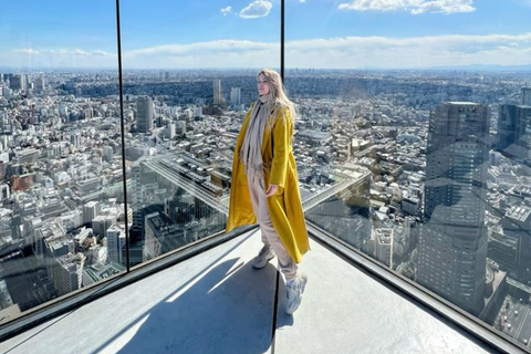 Tokyo City Must See Highlights Full Adjustable Itinerary