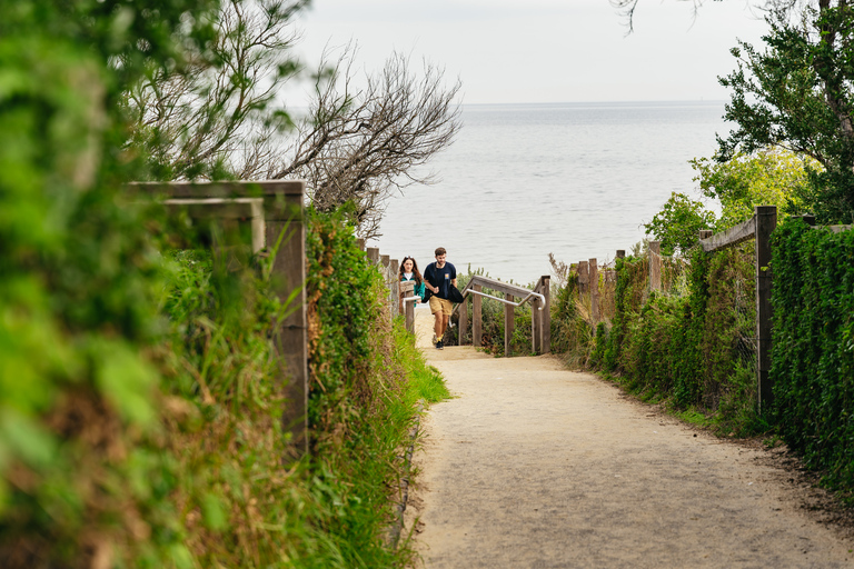 From Melbourne: Phillip Island Eco Wildlife Tour