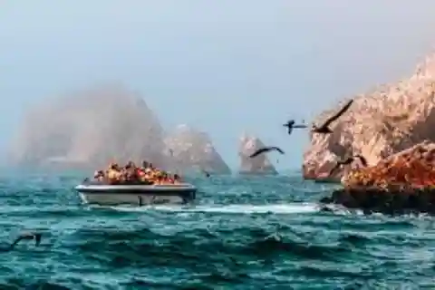 Paracas : tour en bateau des îles Ballestas et du Candélabre