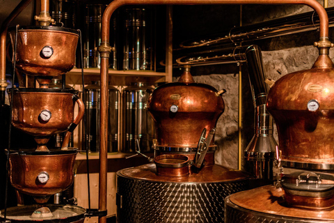 Barbados: Beach Horse Ride + Swimming + Picnic or Rum Tour Horse Ride with Rum Distillery Tour