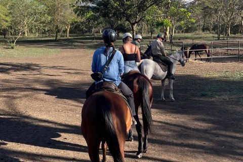 Excursión guiada a caballo por Arusha