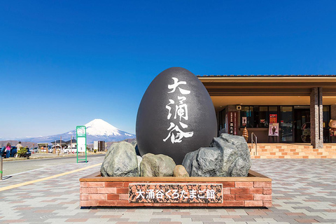 Tokio: Mt. Fuji See Ashi&amp;Seilbahn,Owakudani Tal TagestourTokyo Station Abholung um 8:00 Uhr