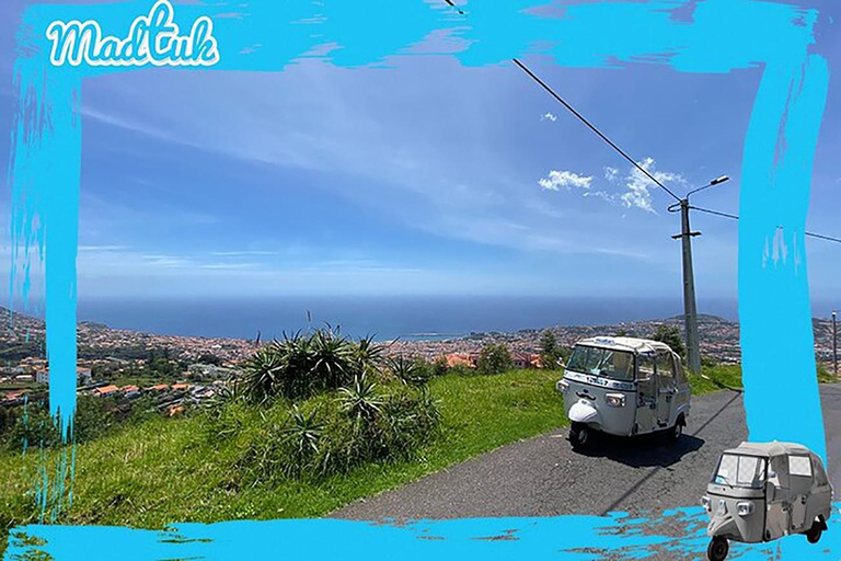 Madeira: Monte Toboggan & Old Town Guided Tuk Tour by MadTuk
