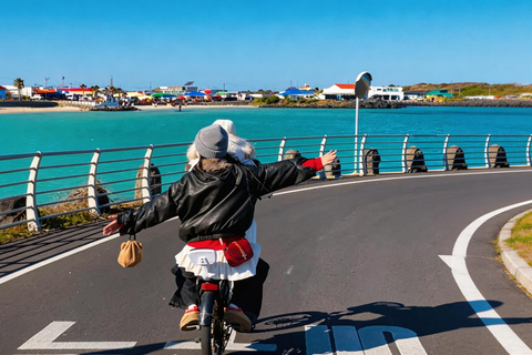 Jeju: Udo Island, Seopjikoji & Hidden Gems Guided Tour