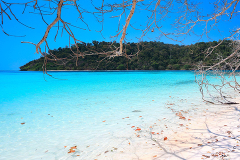 Phuket: Dagsutflykt till Koh Rok och Koh Ha (bästa av marinparken)