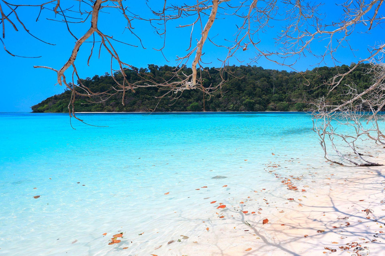 Phuket: Dagsutflykt till Koh Rok och Koh Ha (bästa av marinparken)