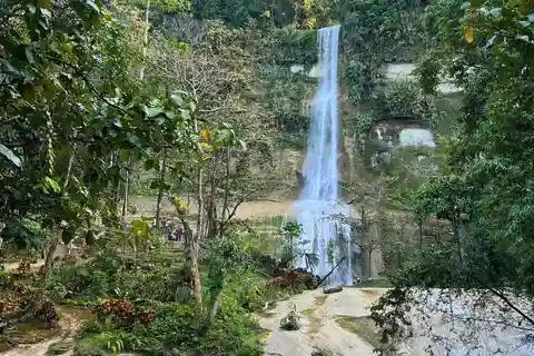 Bohol Anda-Candijay-Alicia Private Tour