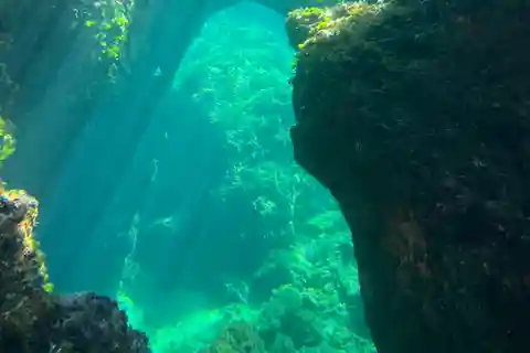 Alcudia: Dag och solnedgång, havsgrottor och snorkling med båt