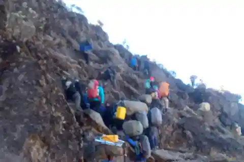 1 dia de Kilimanjaro Hike Marangu Route a partir de Arusha ou Moshi.