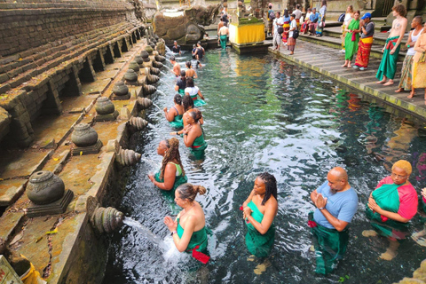 Ubud: Private Half-Day Tour Rice Terrace, Temple & Waterfall Private Ubud Half-Day Tour (Without Entrance Ticket)