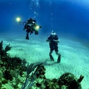 Desde Cancún: Experiencia de Buceo en Cozumel en Barco Rápido
