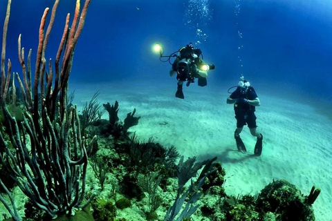 Cancun ou Isla Mujeres Plongée récifale pour les débutants