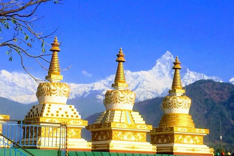 Pokhara: World Peace Pagoda Hike with Boating and, Pumdikot