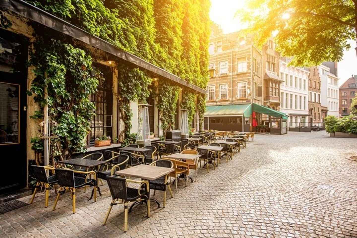 Antwerp: Must-See Attractions Private Walking Tour