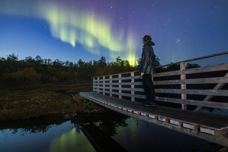 Tromsø: Northern Lights Hunt with Photos and Hot Food