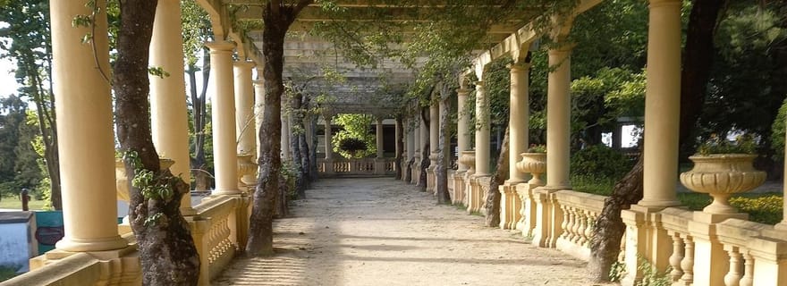 Visite à pied d'Aveiro (avec un guide certifié. Friandise incluse)